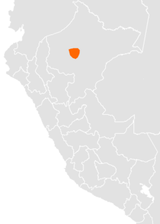 <span class="mw-page-title-main">Urarina language</span> Isolated language spoken in Peru