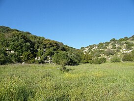 Valley of Elah-Med woodland.jpg