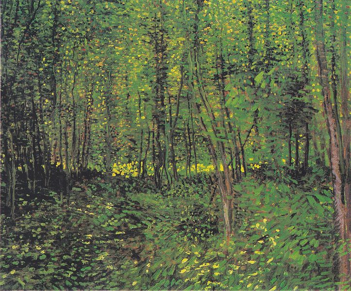 File:Van Gogh - Bäume und Unterholz2.jpeg