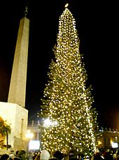 Vatican Christmas Tree. Christmas Day 2007. Vatican Christmas Tree.jpg