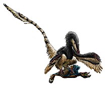 Illustration d'un dinosaure plumé et ailé, debout, tenant sous les griffes de ses pattes un autre dinosaure plus petit.