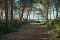 * Nomination Vic-la-Gardiole, Hérault, France. --Christian Ferrer 12:45, 24 February 2014 (UTC) * Promotion Cyanotic sky, but beautiful detail on the trees. --Mattbuck 00:24, 2 March 2014 (UTC) In this case (very contrasted landscape), in the order the inconveniences and the advantages of 320 ISO IMO --Christian Ferrer 06:25, 2 March 2014 (UTC)