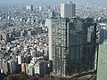 View from the Tokyo Metropolitan Government Buildings