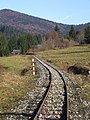 * Nomination Historical Logging Back Swath Railway in Vychylovka, Slovakia --Pudelek 10:01, 12 April 2010 (UTC) * Promotion QI --Ianare 02:29, 20 April 2010 (UTC)