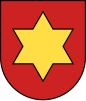 Brasão de Haslach