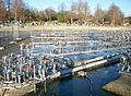 Deutsch: Die Anlage der Wasserlichtkonzerte im Parksee von Planten un Blomen, Hamburg.