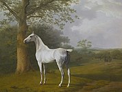 White Horse in Pasture, 1806-1807, olie op doek.