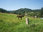 Kolorowe jeziorka - Kamienna Góra