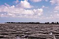 * Nomination Wierum (Northeast-Fryslân), View of the Wadden Sea from the seawall. (Breakwaters and mud flats.) --Famberhorst 05:04, 27 October 2023 (UTC) * Promotion Some color noise in the sky, and not too many details. Probably process with less generic noise reduction and higher color noise reduction? --Plozessor 05:12, 27 October 2023 (UTC) Answer: This is a long opening photo (2.5 sec.)This causes the clouds to disperse somewhat. That is also the intention. You then get a painting effect.--Famberhorst 06:11, 27 October 2023 (UTC) Might be, but don't know if "painting effect" pictures quality for QI. Let someone more experienced decide that. --Plozessor 09:52, 27 October 2023 (UTC) Okay, we'll wait. Greetings,--Famberhorst 14:46, 27 October 2023 (UTC)  Done. Noise reduced. Thanks for your reviews.--Famberhorst 16:48, 29 October 2023 (UTC) Discussion please.--Famberhorst 05:34, 31 October 2023 (UTC)  Support No negative vote, no need put it to CR. OK for me, good quality. --Palauenc05 08:36, 31 October 2023 (UTC)