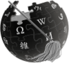 Wikipedia-Test Administrator.png