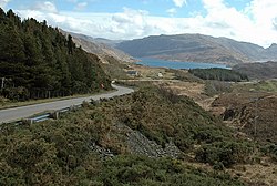 Wood beside the A894 - geograph.org.uk - 736867.jpg