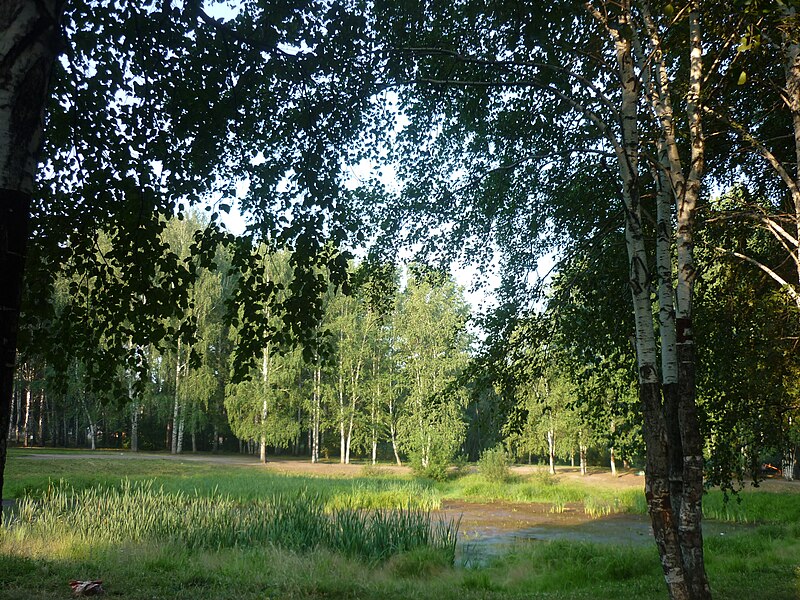 File:Yekaterinburg - Park dedicated to 50 years of Komsomol - photo 3.JPG