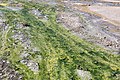 * Nomination Norris Porcelain Basin in Norris Geyser Basin in Yellowstone National Park, Wyoming, USA --XRay 03:55, 9 October 2022 (UTC) * Promotion  Support Good quality.--Agnes Monkelbaan 04:20, 9 October 2022 (UTC)