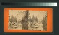 Yosemite Valley, California (NYPL b11707301-G89F377 007F).tiff