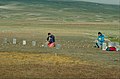 Forskning af drivhuseffekten ved Zackenberg, Grønlands Nationalpark