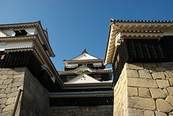 Matsuyama-kasteel
