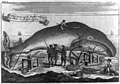"A whale female and the windlass whereby the whales are brought on shore" LCCN2006683462.jpg