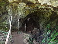 (lava tunnel (a) El Chato Reserve, Santa Cruz Highlands, Galápagos.JPG