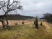 Gravfältet Örelids stenar, Halland.