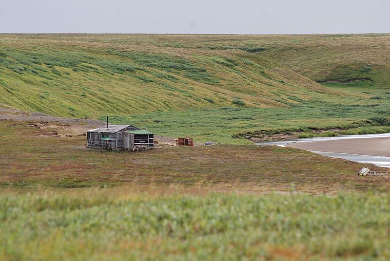 File:Балок на бугринке - panoramio.jpg