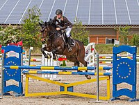 Rank: 31 Horseman at a horse jumping competition