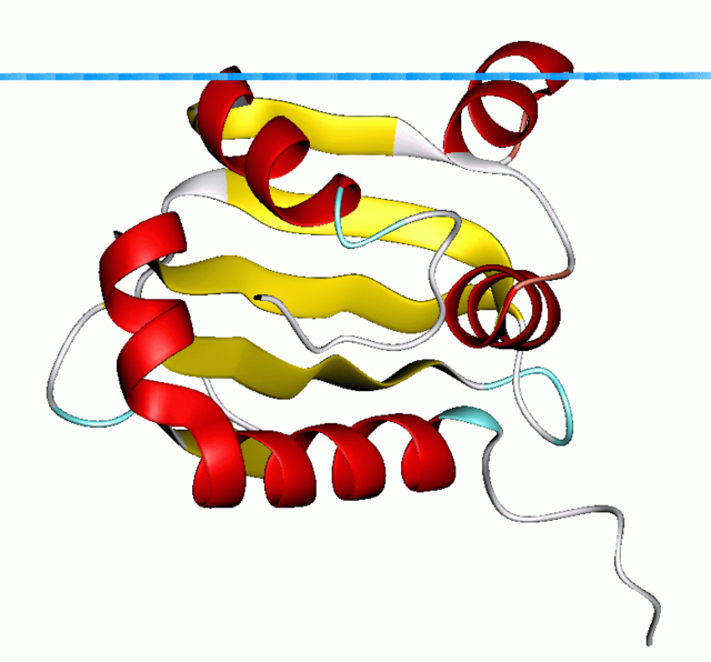 Holo-sterol Carrier Protein-2: 13C NMR INVESTIGATION OF