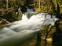 La Savoureuse, à Lepuix.