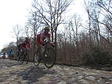 2013 Paris - Roubaix, Forest of Arenberg.jpg