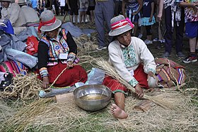 Pictured is the weaving of grass into rope to be used in the formation of a bridge 2015 Smithsonian folklife festival DC -Qeswachaka Bridge rope making - 01.jpg