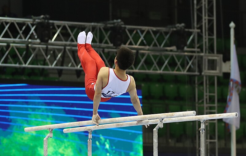 File:2019-06-27 1st FIG Artistic Gymnastics JWCH Men's All-around competition Subdivision 3 Parallel bars (Martin Rulsch) 245.jpg