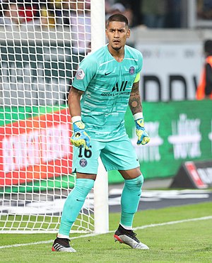 Alphonse Areola: Statistici de carieră, Palmares, Note