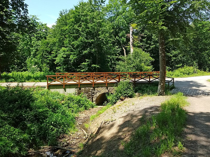 File:20190609 Lainzer Tiergarten Schallautzergraben Schallautzerbrücke.jpg