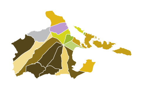 2019 Albay Mayor Elections.svg