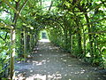 Holländischer Garten-Mit Weinreben überwachsene Gänge