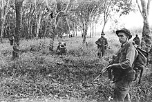 3 RAR soldiers during a January 1968 operation in South Vietnam 3 RAR soldiers in Binh Ba rubber plantation during January 1968.jpg