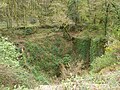 Bois de Mezle : ancienne carrière d'ardoises, puits de l'une des anciennes fosses d'exploitation.