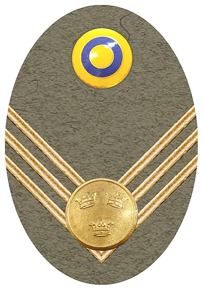 File:4 Förvaltare armén mössmärke 1946.jpg