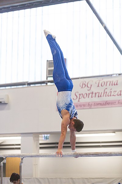 File:5th Budapest Cup 2019-05-26 Daniel Prezhyn (Norman Seibert) - 03724.jpg