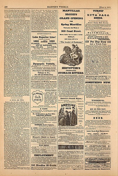 File:A Typical Negro - Harper's Weekly - 1863-07-04 - page 430.jpg