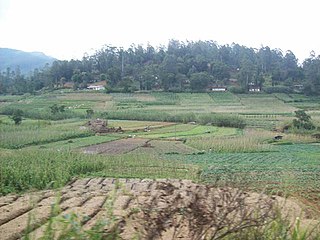 Bogahakumbura Place in Uva Province