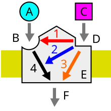 Orthosteric agonist (A) binds to orthosteric site (B) of a receptor (E). Allosteric modulator (C) binds to allosteric site (D). Modulator increases/lowers the affinity (1) and/or efficacy (2) of an agonist. Modulator may also act as an agonist and yield an agonistic effect (3). Modulated orthosteric agonist affects the receptor (4). Receptor response (F) follows. Allosteric modulator.svg