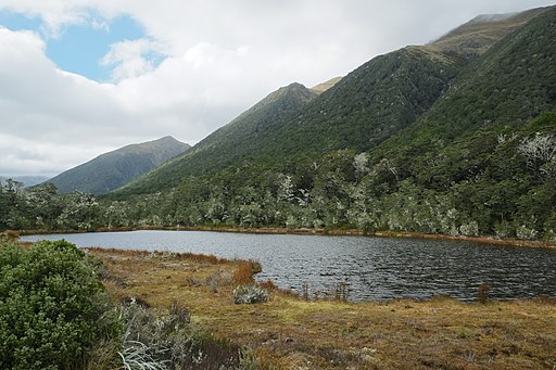 Bergsee auf dem Lewis Pass vor Spenser Mountains, Neuseeland (Bildquelle: Pseudopanax at English Wikipedia [Public domain], via Wikimedia Commons)