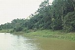 Río Amazonas en la selva amazónica.