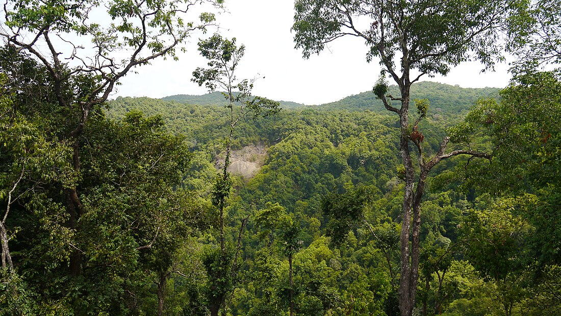 Forests decídues humides del nord-oest de Ghats