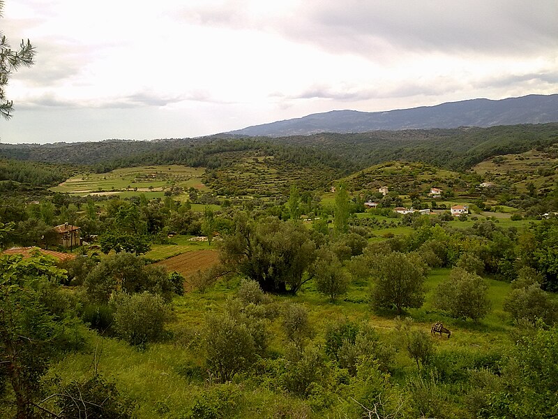 File:Apantoz a Bakış ( R. Nazilli ) - panoramio.jpg