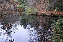 Arboretum de Balaine 1.JPG