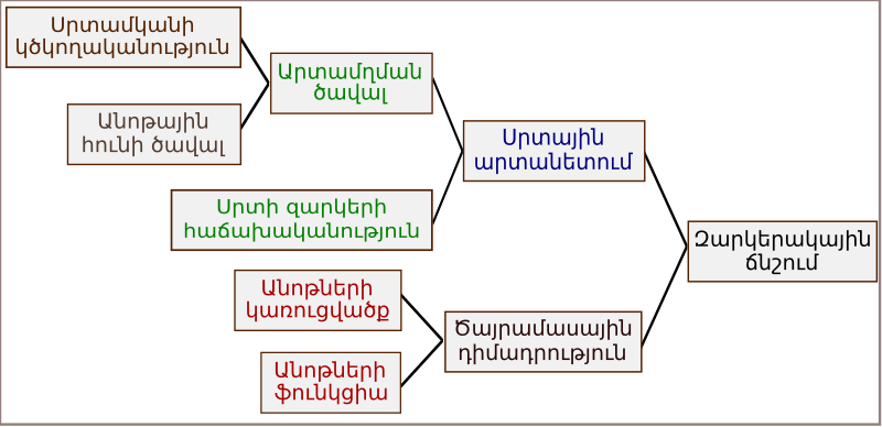 File:Arterial pressure diagram hy.svg