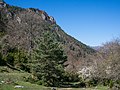 * Nomination Summit of Bachicabo, viewed from the La Hoz mountain pass. Álava, Basque Country, Spain --Basotxerri 14:56, 24 May 2017 (UTC) * Promotion Good quality. --Moroder 16:56, 24 May 2017 (UTC)