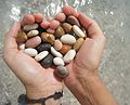 Pebbles found on the beach have irregular shapes, but no set top, bottom, front, back, or sides.