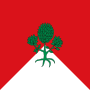 Bandera de Bugedo.svg